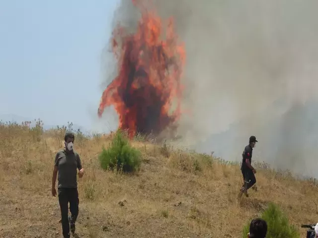 Bakan Murat Kurum: Orman yangınlarında toplam 104 yapının ağır hasarlı ya da yıkık
