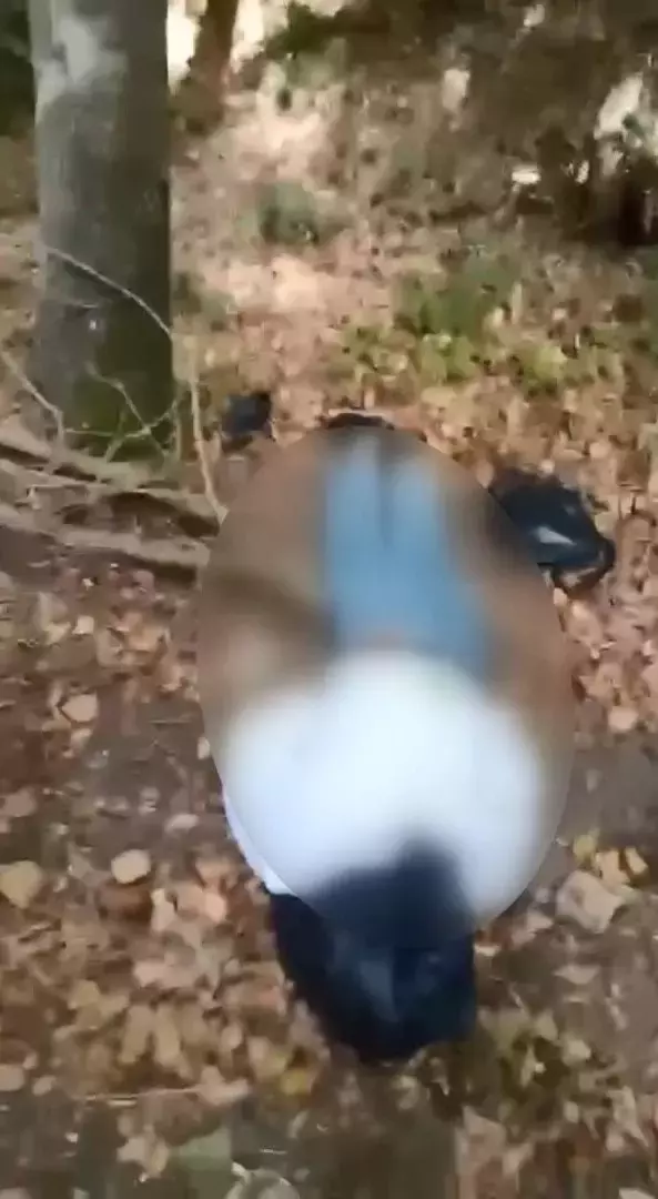 Başına çöp poşeti geçirilmiş halde bulunan cesedin elindeki not ortaya çıktı