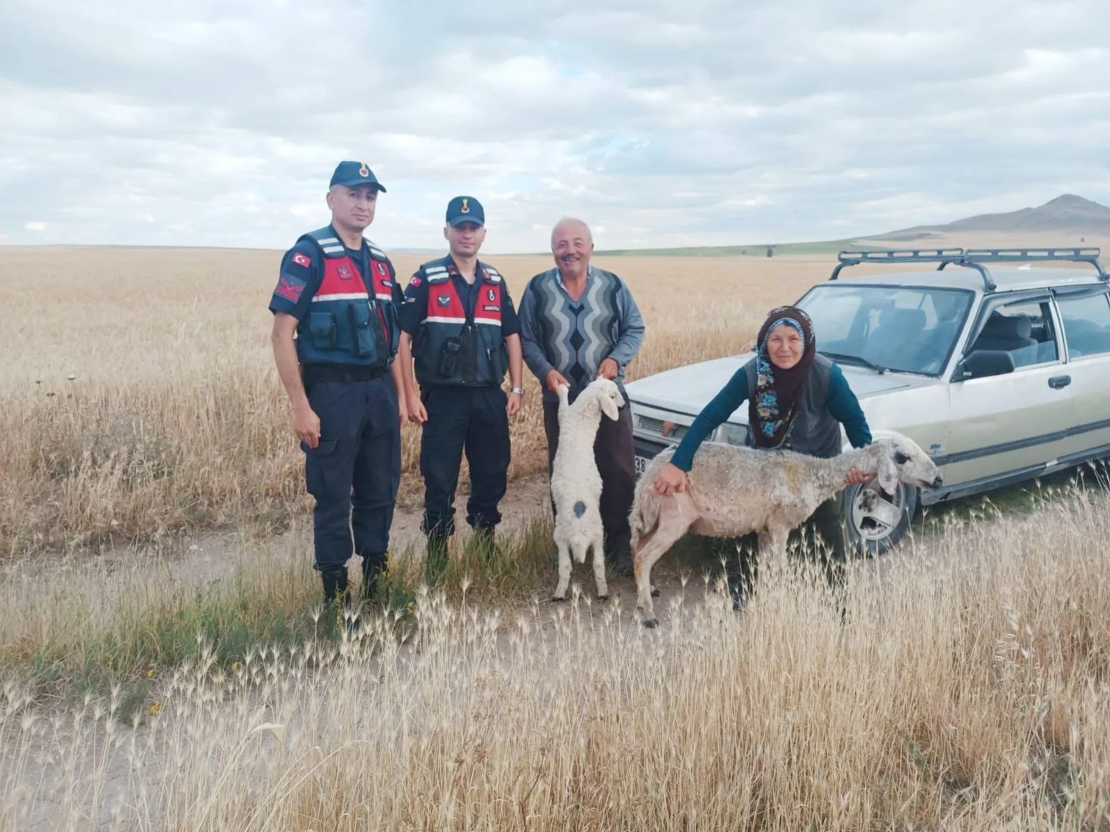 Yozgat’ın Sorgun ilçesinde devriye görevi yapan jandarma ekipleri, başıboş dolaşan