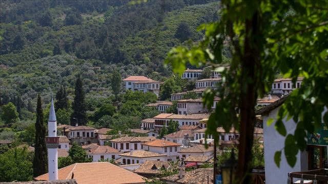 Türkiye'de en çok köye sahip il belli oldu