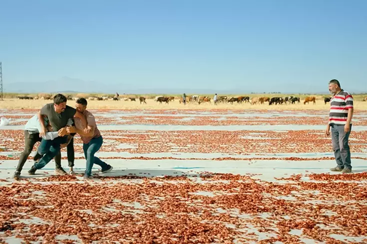 Murat Fırat'ın yönetip senaryosunu yazdığı 'Hemme'nin Ölümcül Günlerden Biri' adlı