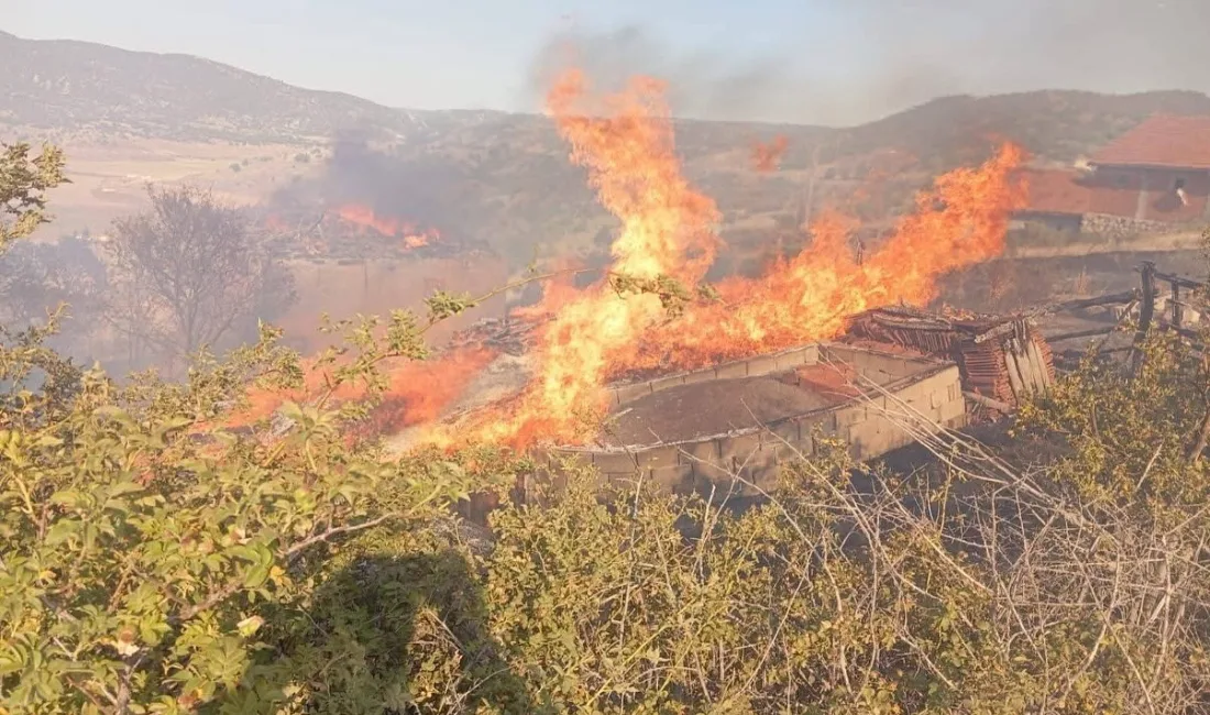 Yaz aylarında artan sıcaklıklarla birlikte çevre yangını riski de yükseldi.