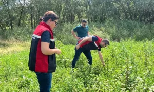 Yerköy İlçe Tarım ve Orman Müdürlüğü, anız ve biçerdöver kaynaklı