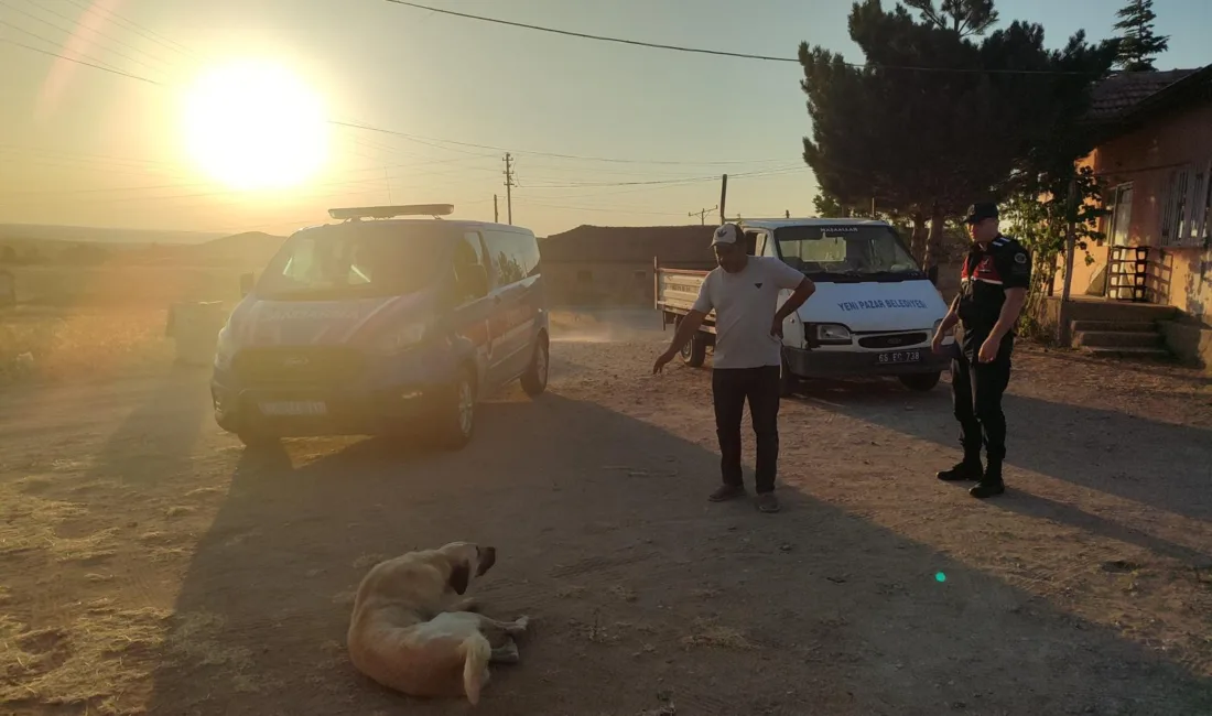 Yozgat’ın Boğazlıyan ilçesine bağlı Yenipazar Beldesi’nde başıboş bir köpeğin saldırısına