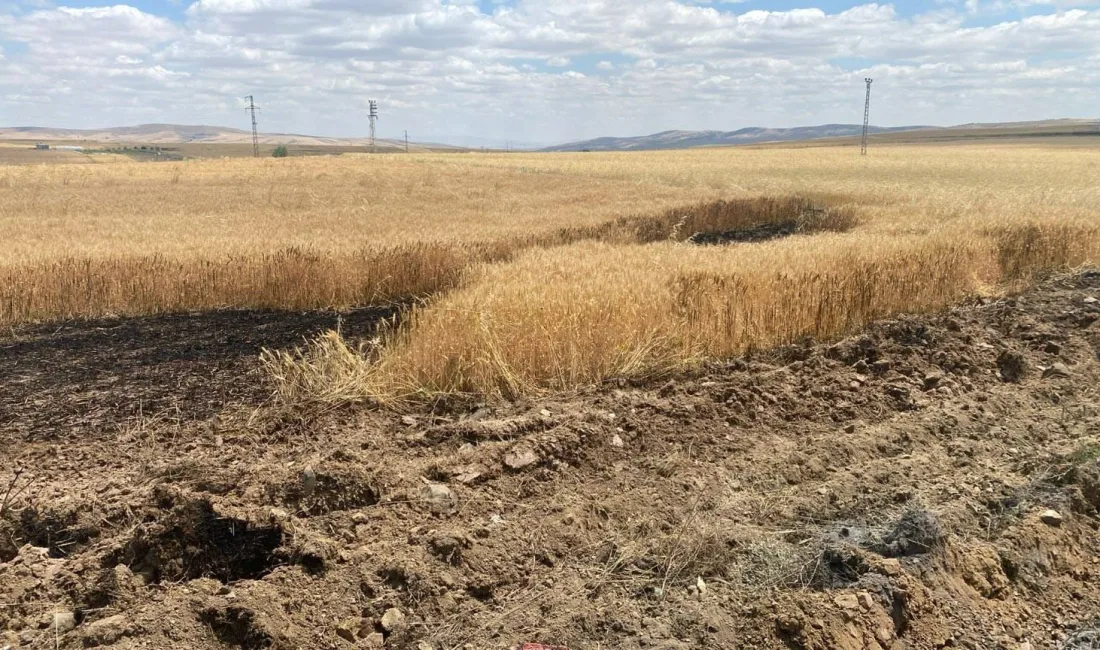 Yozgat’ta buğday ekili bir tarlada çıkan yangın, güvenlik güçleri ve
