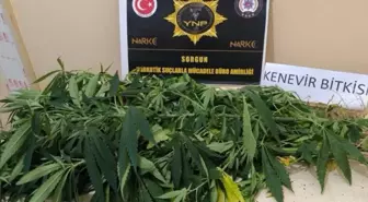 Yozgat'ta yapılan üç ayrı uyuşturucu operasyonunda 8 kişi gözaltına alındı.