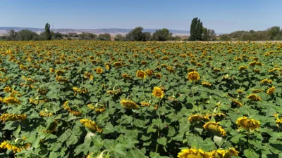 Yozgat Valisi Mehmet Ali Özkan, 2025 yılı itibariyle il genelinde