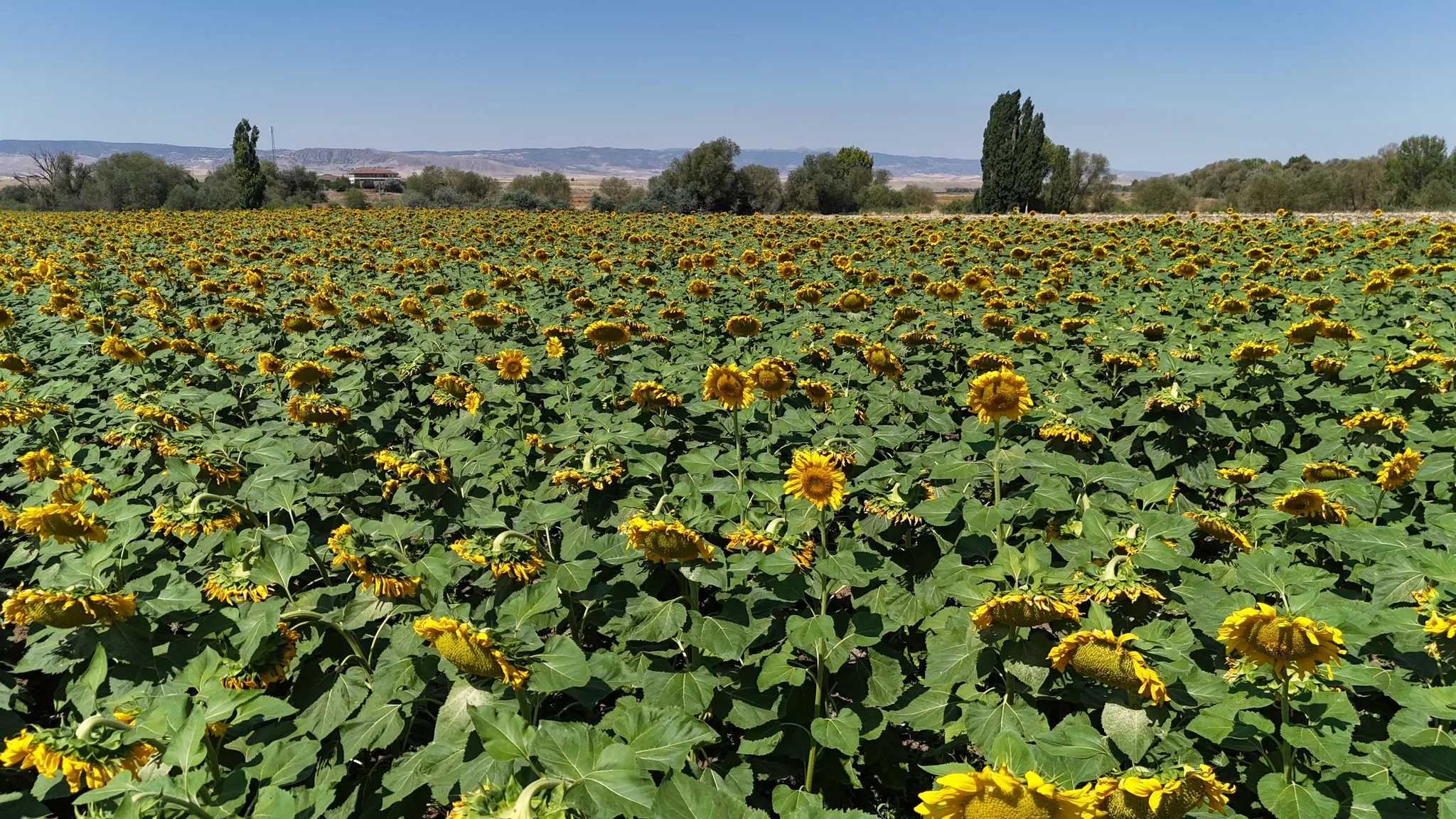 Yozgat Valisi Mehmet Ali Özkan, 2025 yılı itibariyle il genelinde