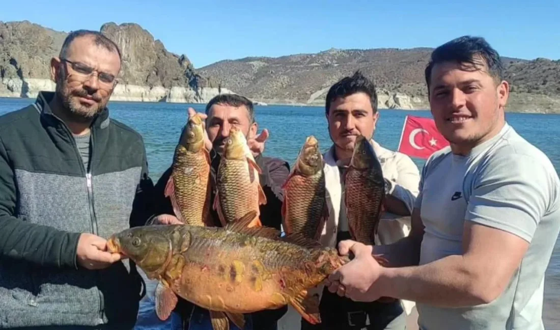 Yozgat’ın Çekerek ilçesinde balıkçıların ağına 14 kilo ağırlığında dev bir