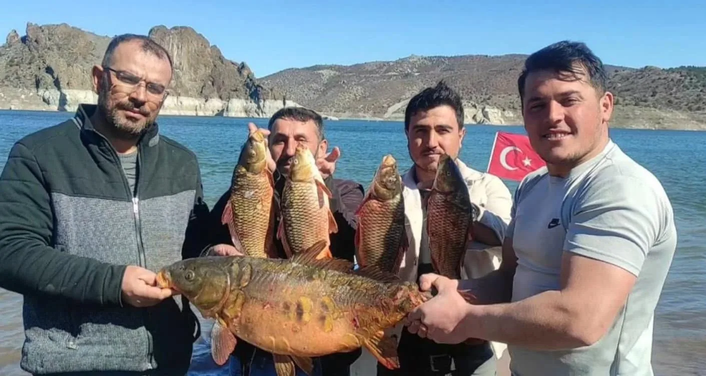 Yozgat’ın Çekerek ilçesinde balıkçıların ağına 14 kilo ağırlığında dev bir