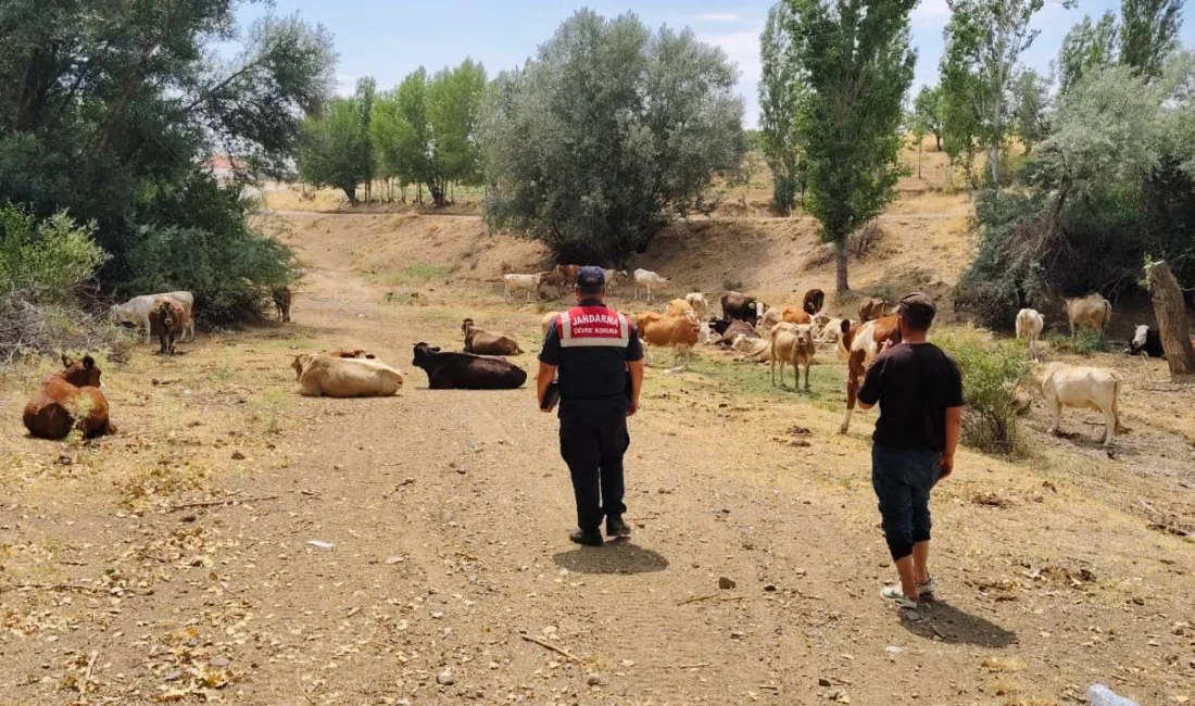 Yozgat İl Jandarma Komutanlığı, doğa ve hayvan sağlığını korumak için
