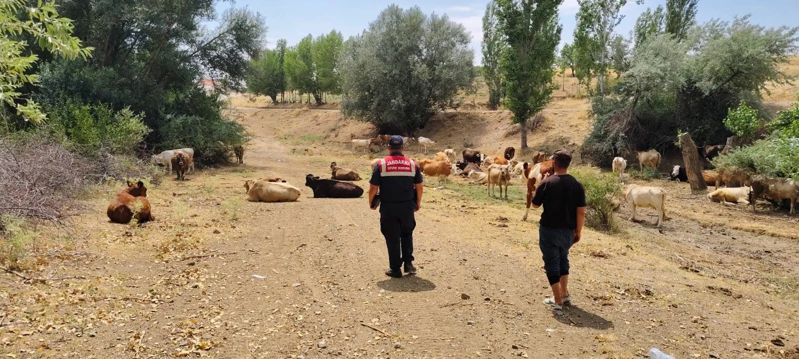 Yozgat İl Jandarma Komutanlığı, doğa ve hayvan sağlığını korumak için
