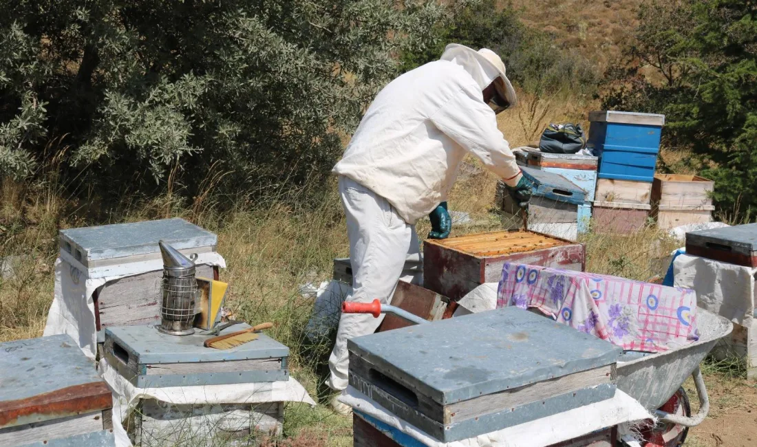  Yozgat’ta 2024 yılında kurulan Çamlık Bal Ormanı’na bu yıl