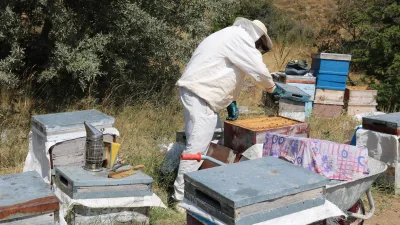  Yozgat’ta 2024 yılında kurulan Çamlık Bal Ormanı’na bu yıl