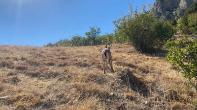 Yozgat İl Jandarma Komutanlığı, Aydıncık ilçesi Kazankaya Kanyonu’nda yaptığı denetimlerde