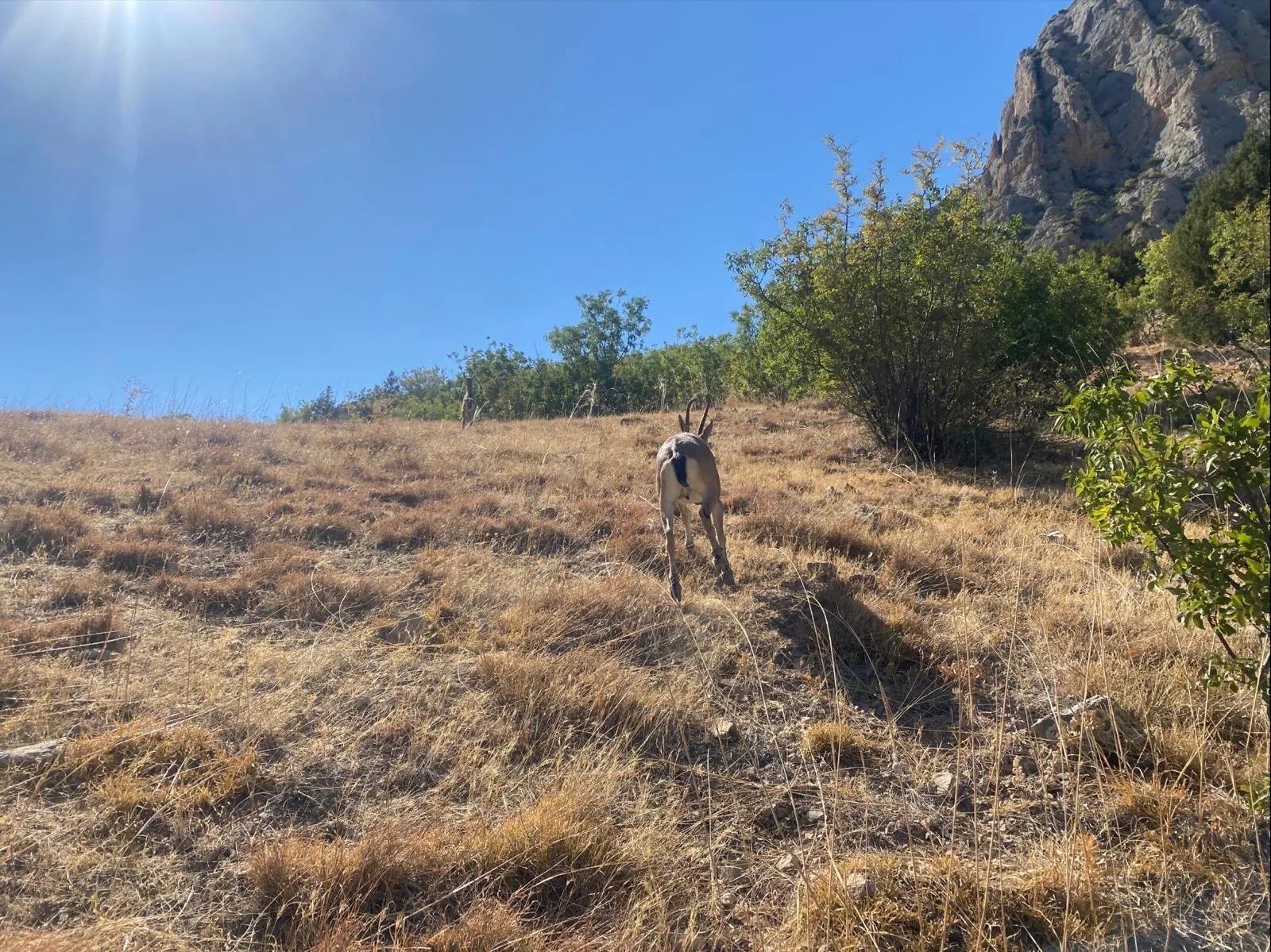 Yozgat İl Jandarma Komutanlığı, Aydıncık ilçesi Kazankaya Kanyonu’nda yaptığı denetimlerde