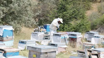 Yozgat Valiliği’nin 2025 yılı programı kapsamında yapılan çalışmalarla bal ormanı