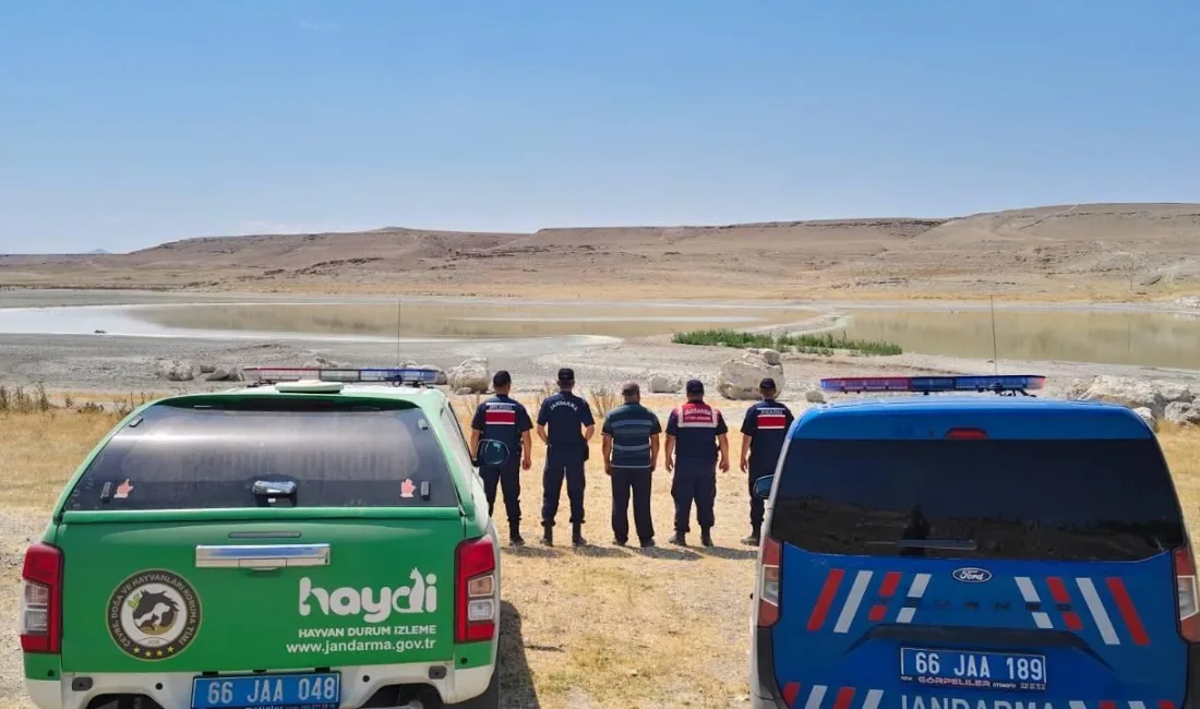 HAYDİ Timi’nin denetiminde ekosistemi tehdit eden çevresel riskler tespit edildi,