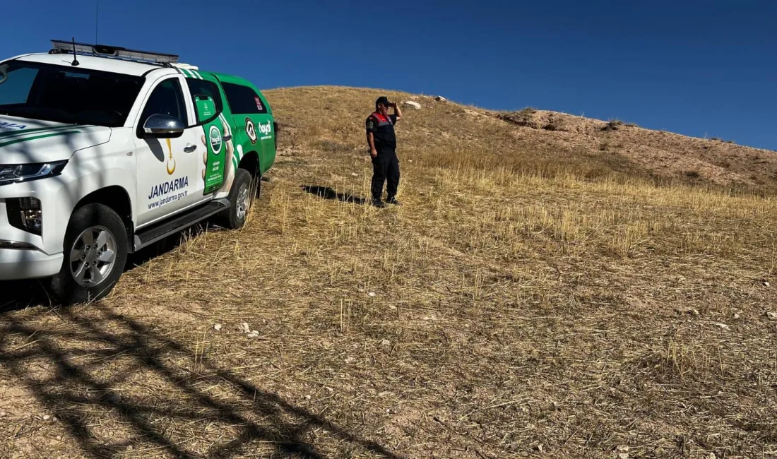Yozgat'ta jandarma ekipleri, anız ve örtü yangınlarına karşı Yenipazar bölgesinde