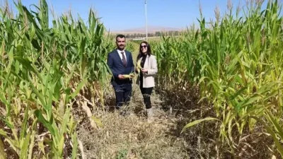 Yozgat Bozok Üniversitesi Boğazlıyan Meslek Yüksekokulu (MYO), yalnızca mesleki eğitim