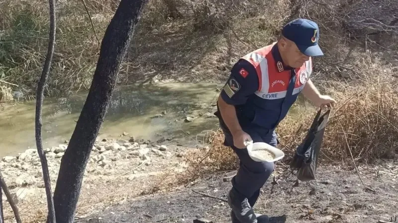 Yozgat İl Jandarma Komutanlığı ekipleri, yangınlardan etkilenen ormanlık alanlarda hem