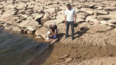 Sorgun’daki Küçük Taşlık Göleti’nde görülen balık ölümlerinin, kuraklık ve sulama