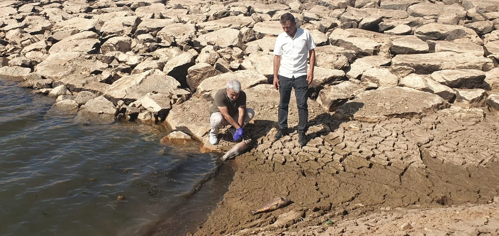 Sorgun’daki Küçük Taşlık Göleti’nde görülen balık ölümlerinin, kuraklık ve sulama