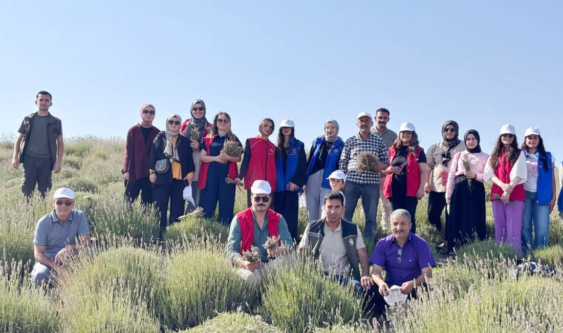 Gençlik ve Spor Bakanlığı tarafından düzenlenen “Gönüllü Hasat Etkinliği” kapsamında