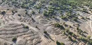 Yozgat Valiliği, yeşil alanları artırmak ve çevreyi korumak amacıyla başlattığı