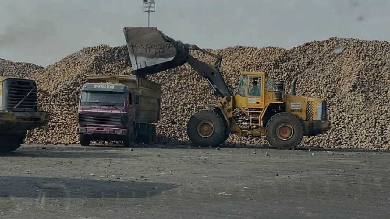Yozgat Valiliği, pancar hasadı döneminde çiftçilere aşırı tonaj uyarısında bulundu.