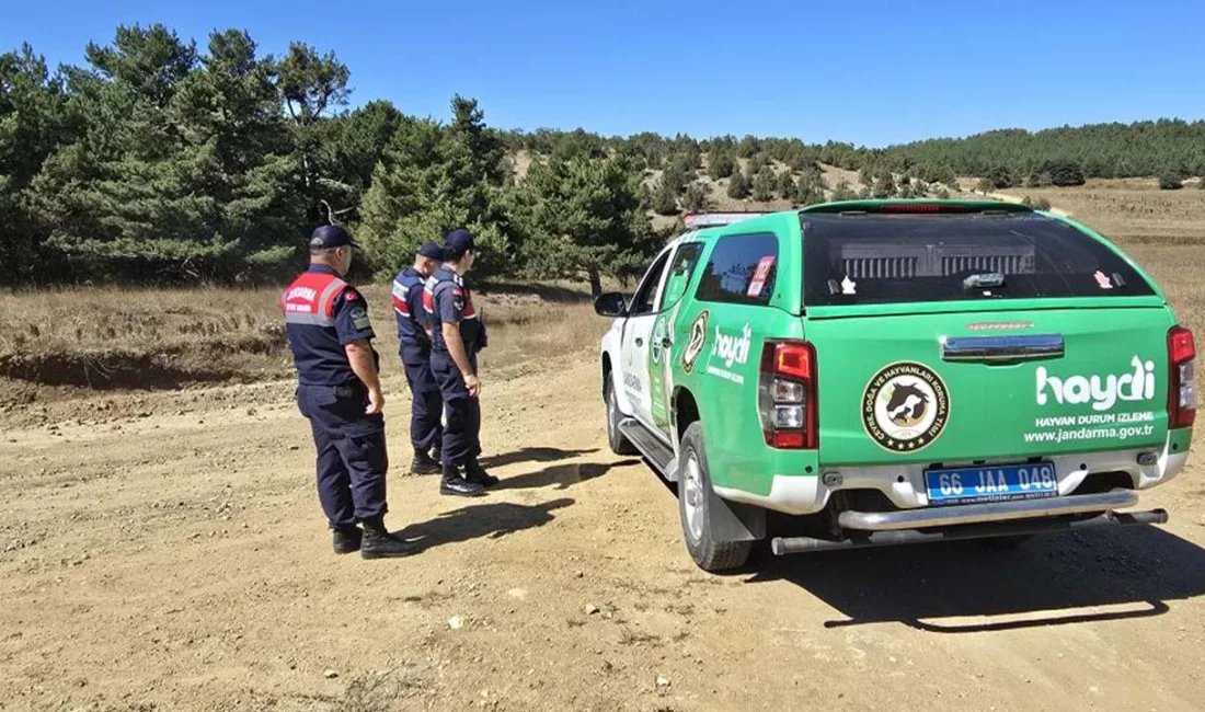Yozgat’ın Akdağmadeni ilçesinde kuşburnu toplamaya çıkan Bektaş ailesi, ormanlık alandaki