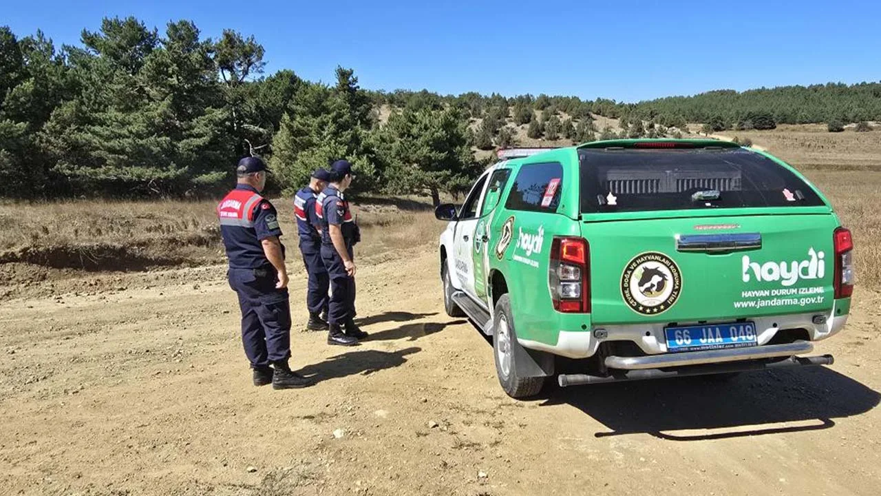 Yozgat’ın Akdağmadeni ilçesinde kuşburnu toplamaya çıkan Bektaş ailesi, ormanlık alandaki