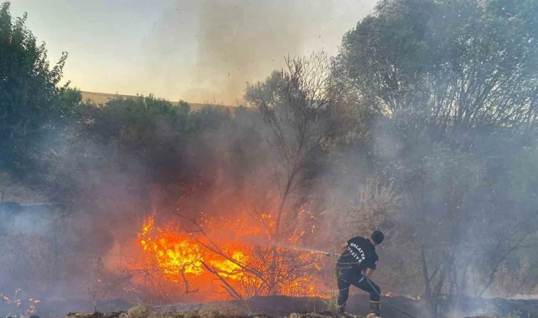 Yozgat Merkez İlçe Jandarma Komutanlığı ekipleri, 23 dönümlük tarım arazisinde