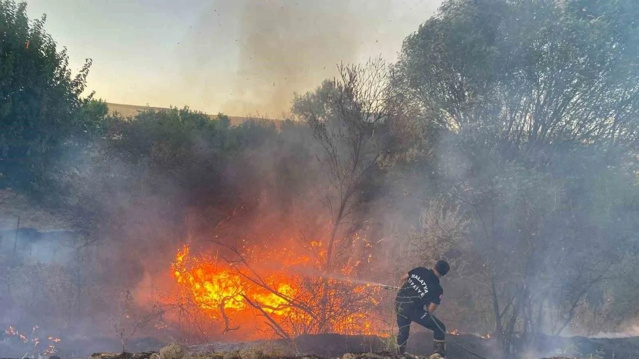 Yozgat Merkez İlçe Jandarma Komutanlığı ekipleri, 23 dönümlük tarım arazisinde