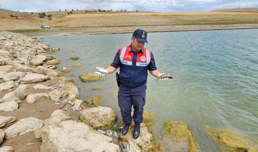Boğazlıyan’da Çevre Doğa ve Hayvanları Koruma Timi ile Jandarma’nın yaptığı