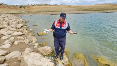 Boğazlıyan’da Çevre Doğa ve Hayvanları Koruma Timi ile Jandarma’nın yaptığı