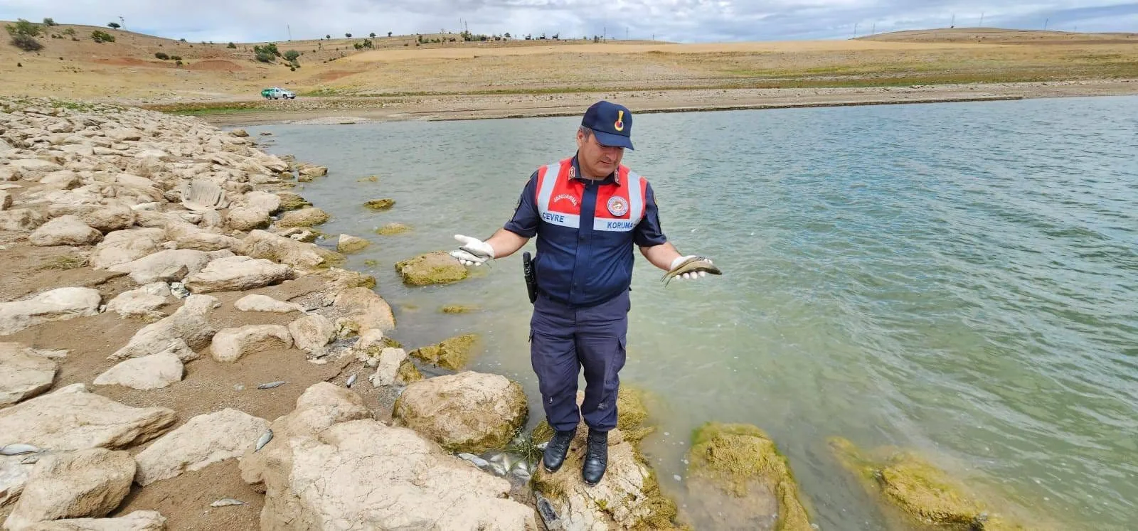 Boğazlıyan’da Çevre Doğa ve Hayvanları Koruma Timi ile Jandarma’nın yaptığı