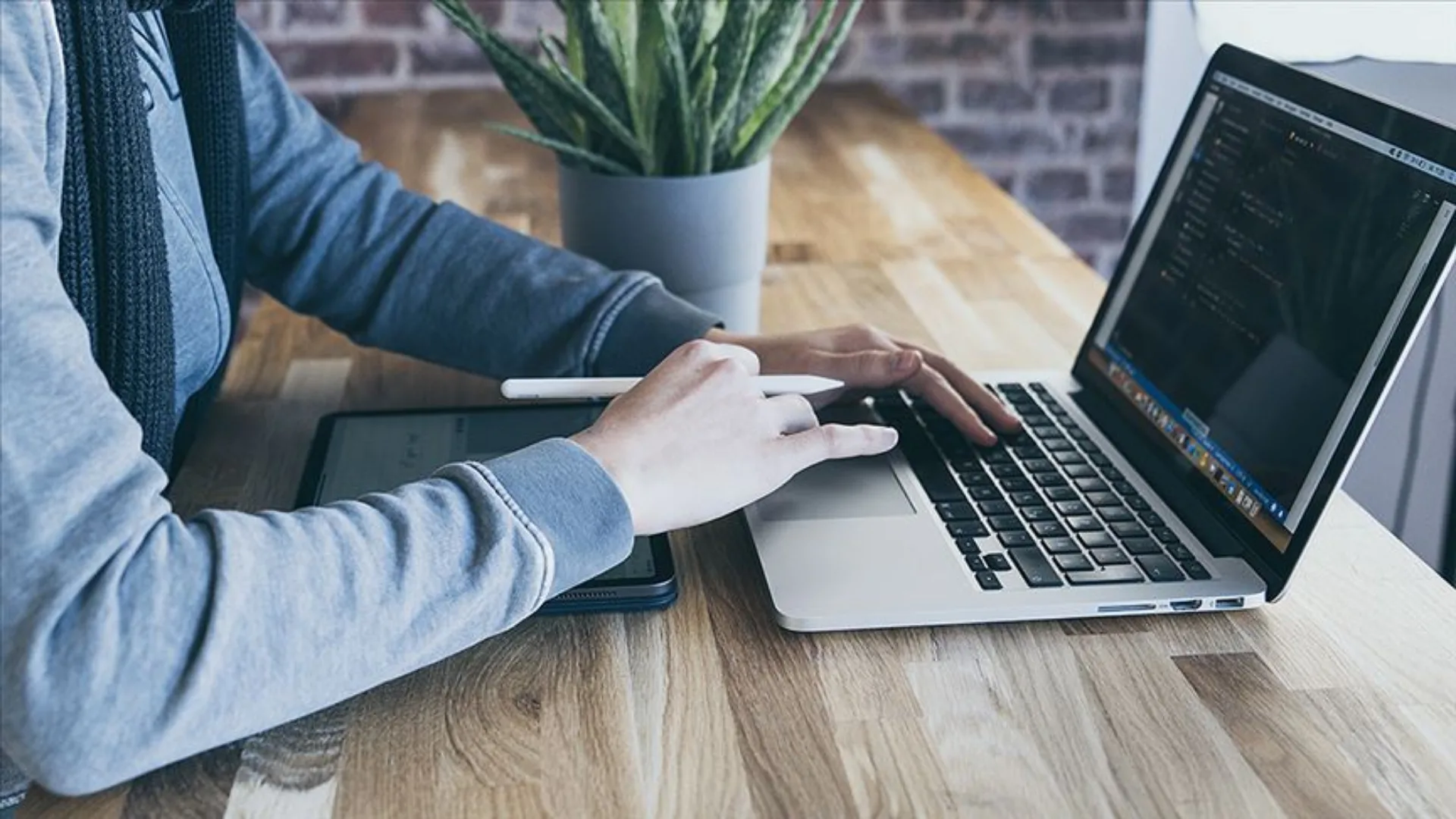 Yozgat Bozok Üniversitesi, 2025 güz döneminde yeni kurslar sunarak araştırmacılar,