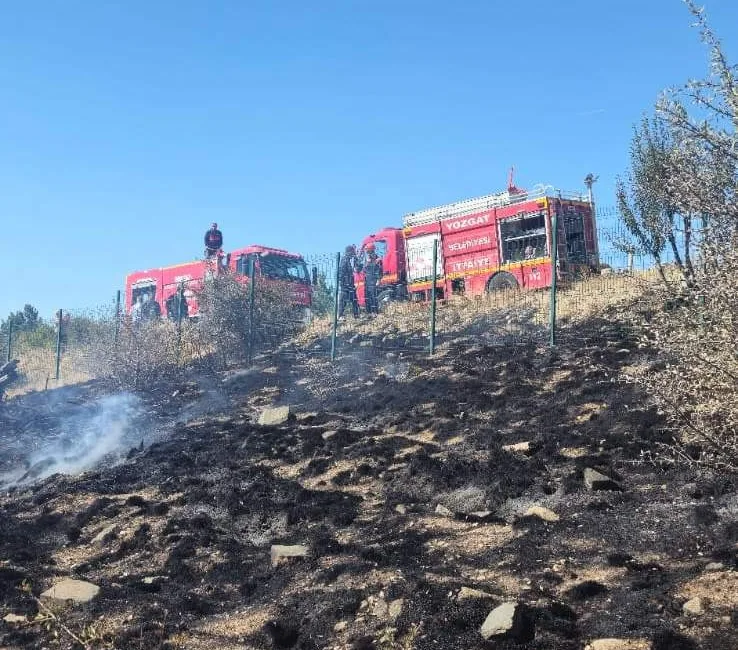 Çamlık Milli Parkı’nda çıkan yangın korkuttu Yozgat’ta, Türkiye’nin ilk milli parkı olan Çamlık Milli Parkı eteklerinde