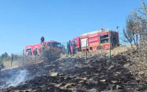 Yozgat’ta, Türkiye’nin ilk milli parkı olan Çamlık Milli Parkı eteklerinde