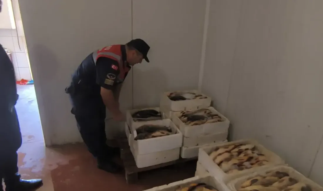 Yozgat İl Jandarma Komutanlığı, Sarıkaya ilçesinde gerçekleştirilen denetimlerle, iç sularda