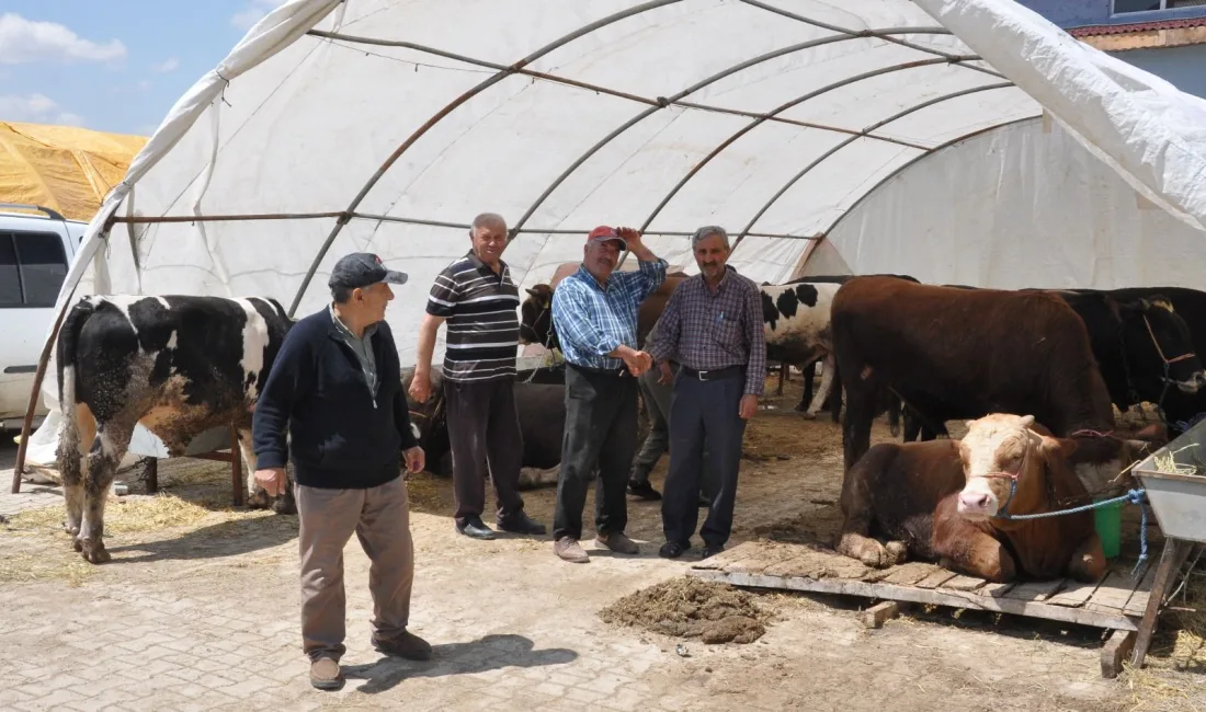 Tarım ve Orman Bakanı İbrahim Yumaklı, şap hastalığının yeni serotipi