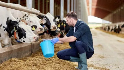 Yozgat Valiliği, Tarım ve Kırsal Kalkınmayı Destekleme Kurumu tarafından başlatılan