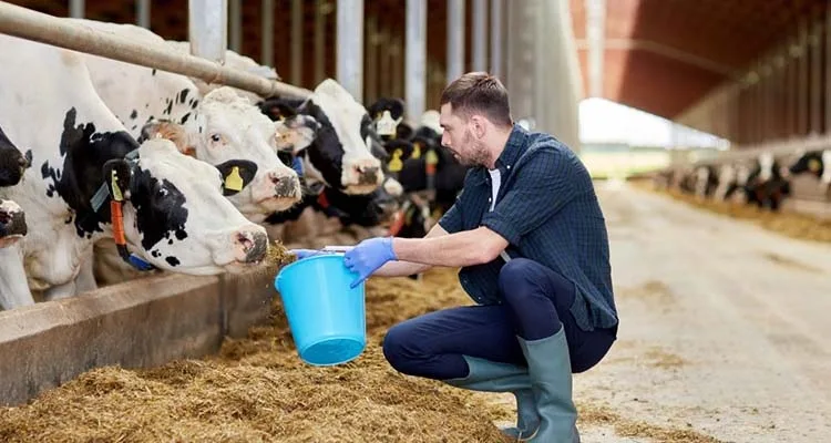 Yozgat Valiliği, Tarım ve Kırsal Kalkınmayı Destekleme Kurumu tarafından başlatılan