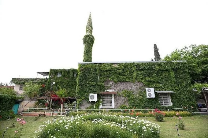 Adana'nın Köprüköy Camisi, Seyhan Nehri kıyısındaki sarmaşıklarla kaplanmış dış duvarı