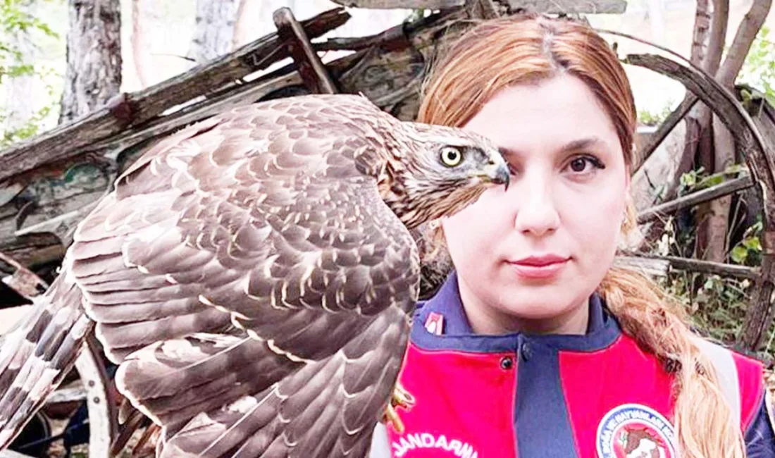 Yozgat’ın Sorgun ilçesinde jandarma ekipleri, 471 litre kaçak içki ele