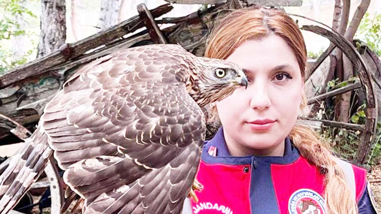 Yozgat’ın Sorgun ilçesinde jandarma ekipleri, 471 litre kaçak içki ele