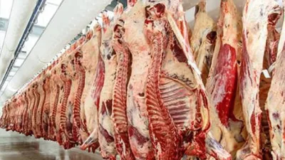 Türkiye’de en fiyatları ne kadar? En ucuz en Ankara’da mı,