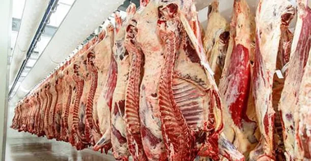 Türkiye’de en fiyatları ne kadar? En ucuz en Ankara’da mı,