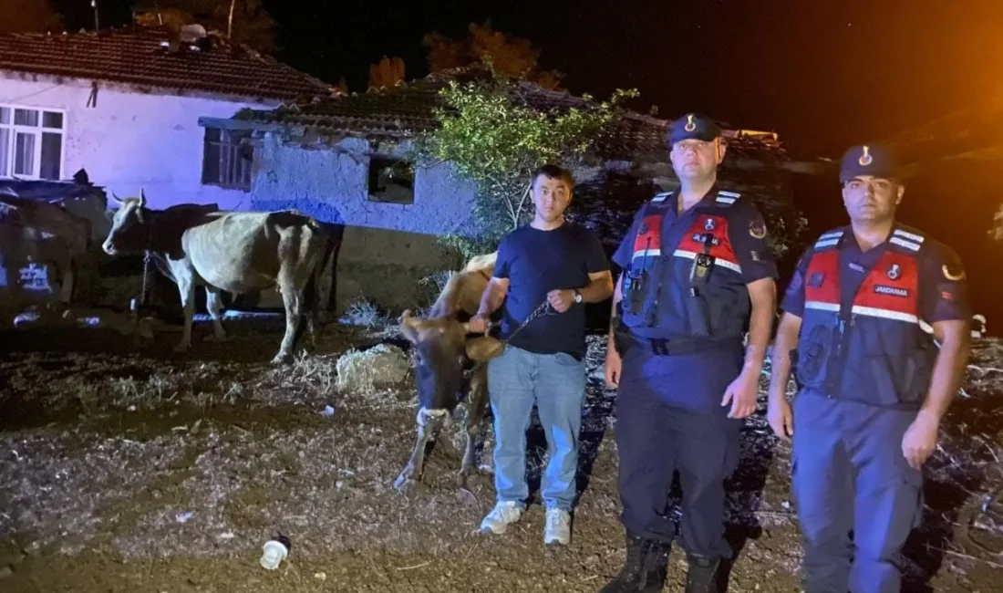 Yozgat'ın Kadışehri ilçesinde kaybolan 5 büyükbaş hayvanı bulan Asayiş Timi,